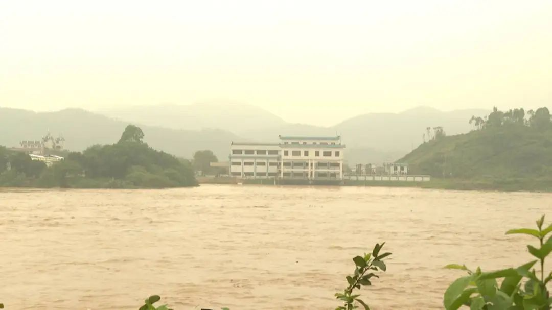 圖片來源:“四會(huì)發(fā)布”微信公眾號(hào)